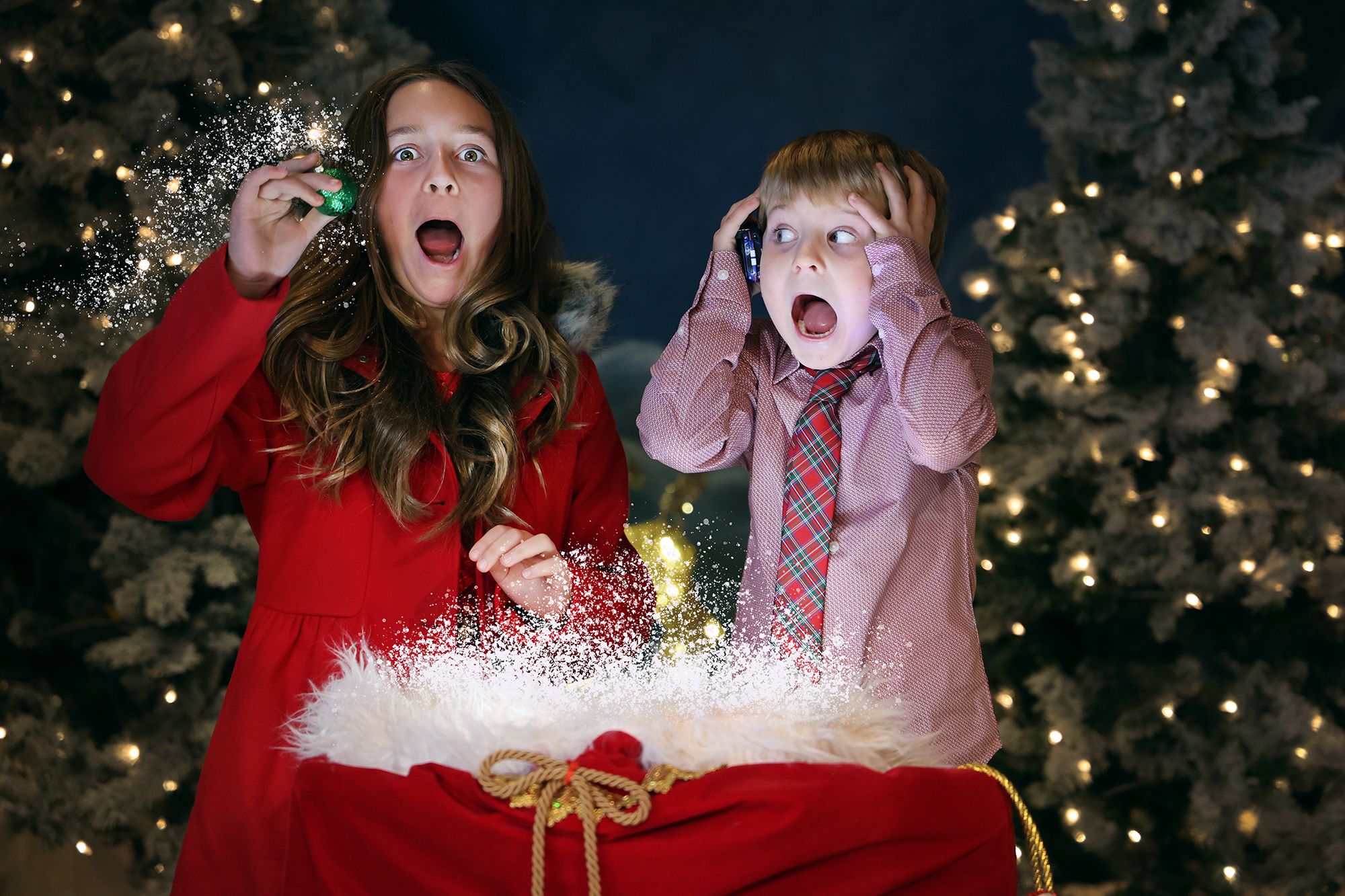 Atrium 916 Sustainable Santa Photo Experience