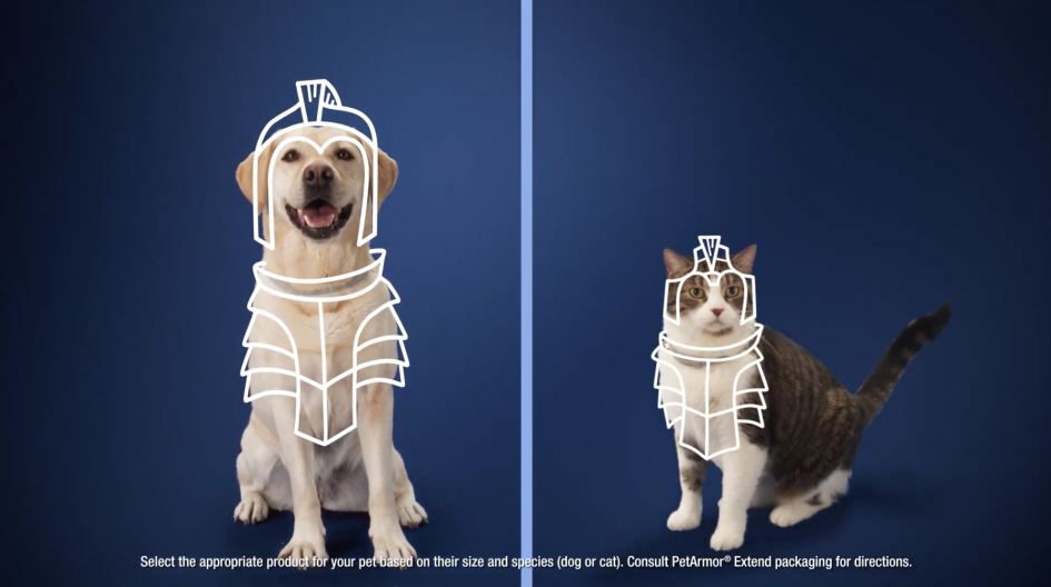 Pet Armor's new collar lasts up to 8 months.